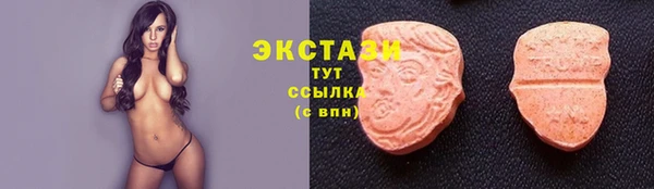 молекула духа Козельск