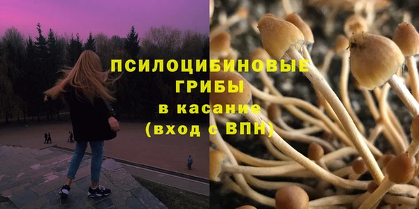 ПСИЛОЦИБИНОВЫЕ ГРИБЫ Лабытнанги