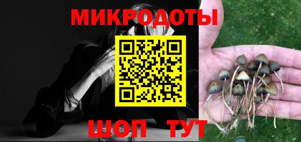 Галлюциногенные грибы MAGIC MUSHROOMS  Псилоцибиновые грибы Psilocybe  Вход с VPN  Новодвинск 
