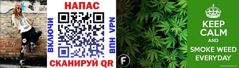 Шишки марихуана Bruce Banner Новодвинск