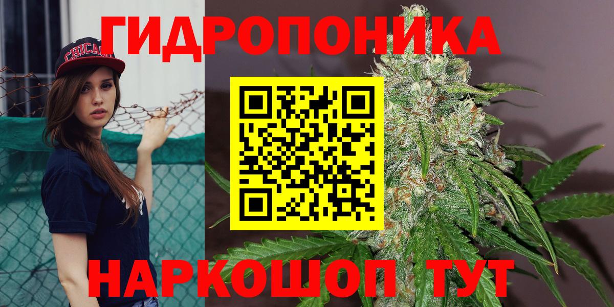 Бошки марихуана AK-47  Вход с VPN  Конопля планчик  Новодвинск  МАРИХУАНА LSD WEED 